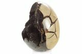 Septarian Dragon Egg Geode - Sparkly Black Crystals #329484-2